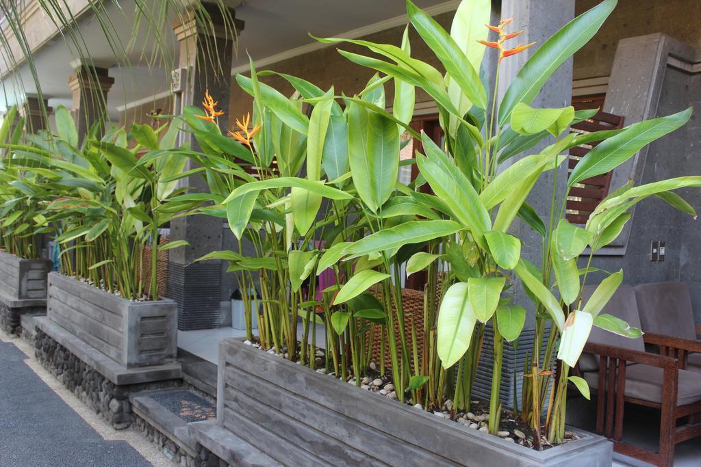 Letos Kubu Homestay Kuta Lombok Extérieur photo
